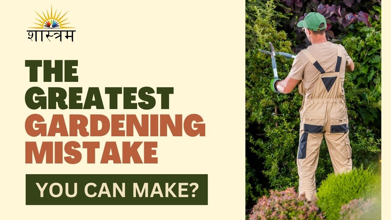 The Greatest Gardening Mistake you can make?