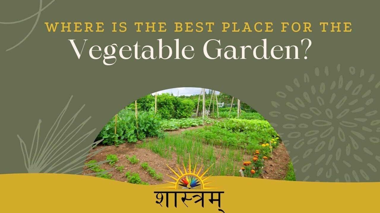 Where Is The Best Place For The Vegetable Garden?