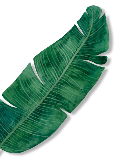 Banana leaf