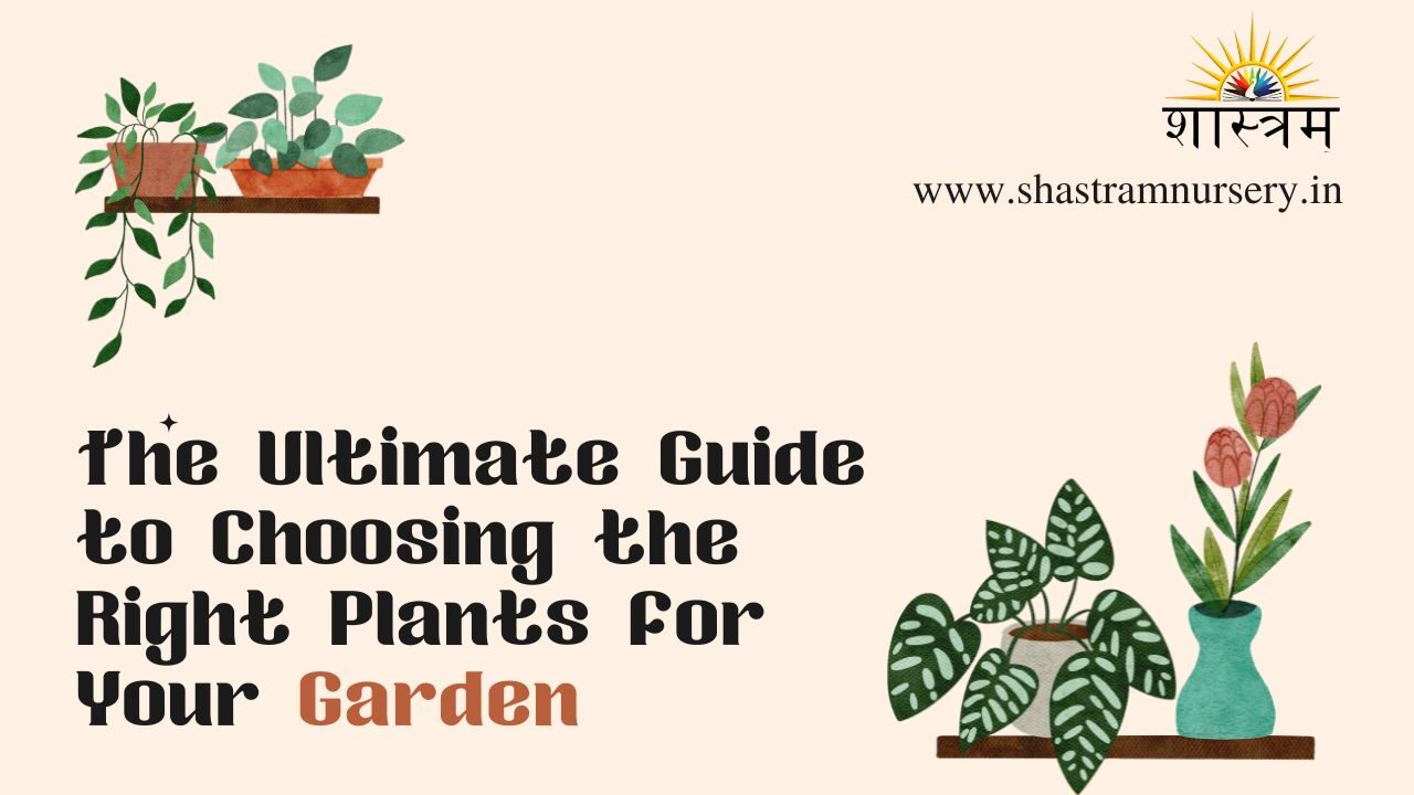 The Ultimate Guide to Choosing the Right Plants for Your Garden