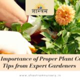 The Importance of Proper Plant Care Tips from Expert Gardeners