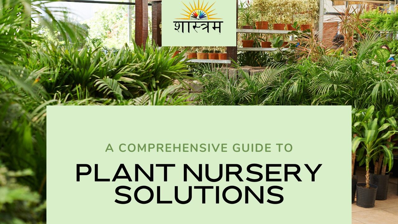 Shastram Nursery: A Complete Solutions of Nursery Plants